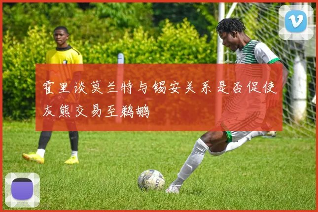 霍里谈莫兰特与锡安关系是否促使灰熊交易至鹈鹕